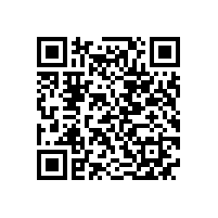 皖南电机样本-YE3系列