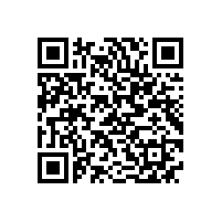 安标国家中心专家组来皖南电机进行监督评审