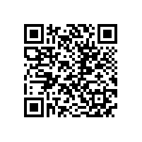 外审专家组来我公司进行管理体系监督审核