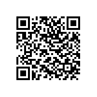 安标国家中心专家组来皖南电机进行监督评审
