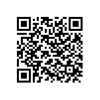 公司举行驻外销售经理新春茶话会