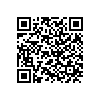 外审专家组来我公司进行管理体系监督审核