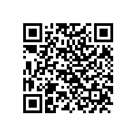 中国质量协会聂宗凤诊断师为皖南电机 QC 骨干培训赋能