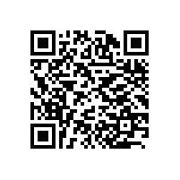CEO办公经典案例
