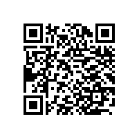 上海办公家具：从上海迪士尼想到的