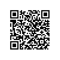 市政协副主席周小红来皖南电机调研