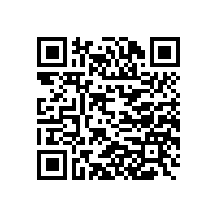 德国电机专家应邀来我公司做技术指导工作