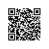 第十七届中国电机及系统发展论坛在泾县隆重举行