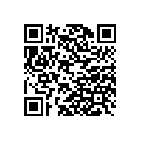 皖南电机再次进入“中国机械500强企业”