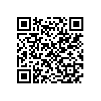 2018|第十七届中国电机及系统发展论坛隆重举行