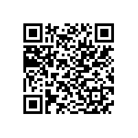 GBT 22719.1-2008 交流低压电机散嵌绕组匝间绝缘 第1部分：试验方法