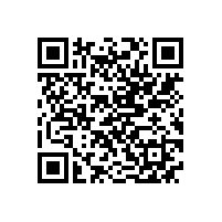 公司举行“皖南电机厂”景石揭幕仪式