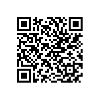 公司开展主题党日活动