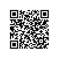 JBT 1012-2017 YY系列电容运转异步电动机 技术条件