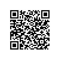 JBT 12730-2016 YKK YXKK系列高压(3kV6kV)三相异步电动机技术条件及能效分级(机座号355-630)