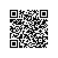 JBT 13299-2017 YE4系列（IP55）三相异步电动机技术条件（机座号80～450）