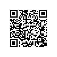 QWN.291-2021 YE4系列(IP55)三相异步电动机技术条件（机座号63～355）2