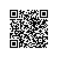 QWN.600-2021 YE3系列(IP55)三相异步电动机技术条件(机座号63～355)