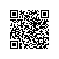 QWN.621-2022 YFBBP 系列粉尘防爆型变频调速三相异步电动机技术条件(机座号80～355)