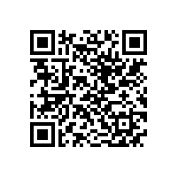 QWN.823-2022 YFB系列(6kV)高压高效率粉尘防爆三相异步电动机技术条件（机座号355-560）