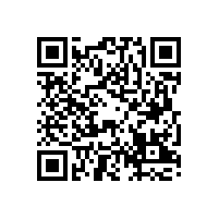 全县“质量月”活动启动仪式在皖南电机举行