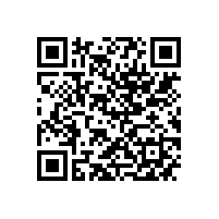 省工信厅副厅长姚凯调研皖南电机