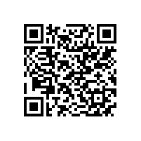 省经信厅领导来皖南电机调研