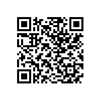 什么是皖南电机的额定功率？