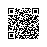 市政府领导来皖南电机调研