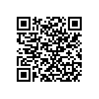 腾龙闹新春 南华更辉煌