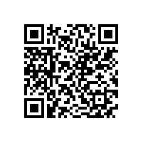 皖南电机样本-YXVF系列