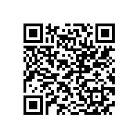 皖南电机导入ISO/TS16949质量体系认证