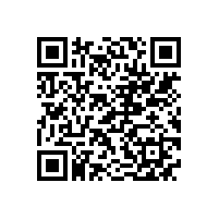 皖南电机顺利通过欧盟REACH认证和ROHS认证