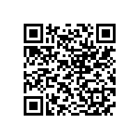 皖南电机通过南京钢铁二方体系审核