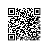 皖南电机售后服务案例一：电机定子绕组对地击穿