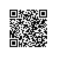 皖南电机样本-YS系列