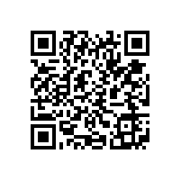 皖南电机样本-YVF2系列