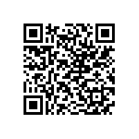 皖南电机样本-ZBL4直流系列