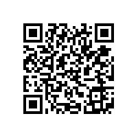 皖南电机样本-ZSL4直流系列