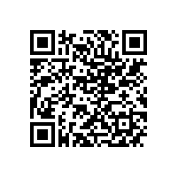 威能公司YXKK900-6 6000KW电机快速交付