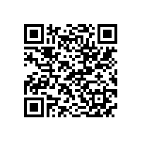 宣城市副市长到皖南电机威能公司视察