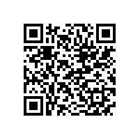 县委书记耿鹏到皖南电机调研