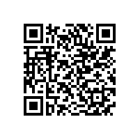 中国港口协会筒仓与散粮运输分会与会代表到皖南电机参观调研