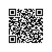 安徽省“调转促”专家组来皖南电机支招