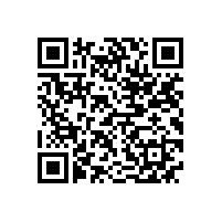 德国电机专家应邀来我公司做技术指导工作