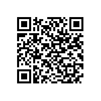 合工大智能院专家来访