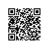 NS系列超高效不锈钢电机