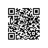 通用电气能源（杭州）公司客人来皖南电机参观