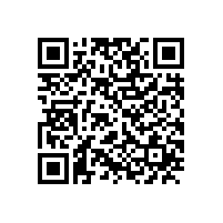 泾县女企业家沙龙在皖南电机举行