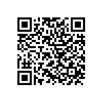 皖南电机召开信息化系统升级项目启动大会